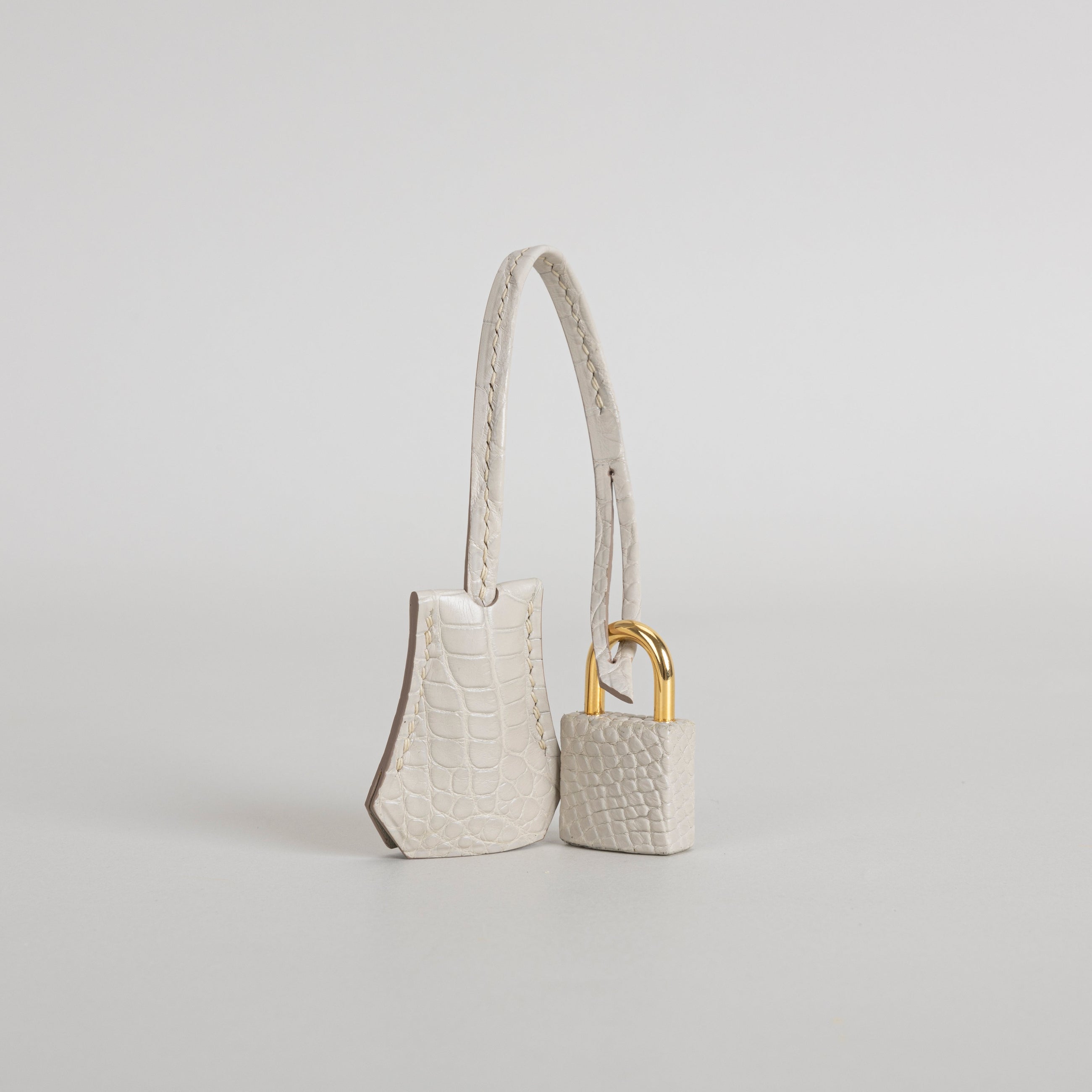 BIRKIN 20 (SELLIER SHAPE) MATTE MISSISSIPPIENSIS ALLIGATOR LEATHER BETON WITH GOLD HARDWARE (GHW)