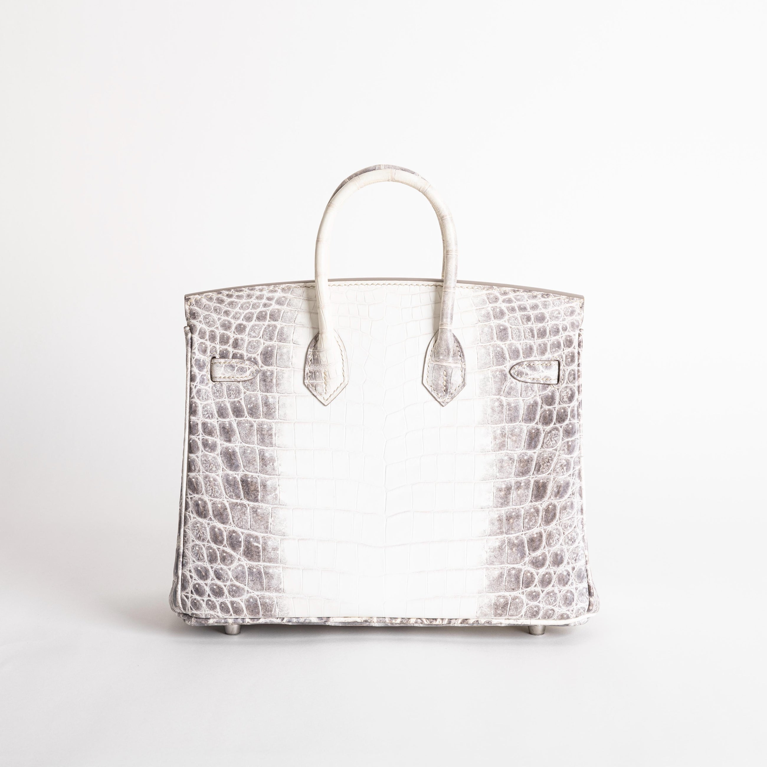 BIRKIN 25 NILOTICUS CROCODILE (MATTE) LEATHER HIMALAYA WITH PALLADIUM HARDWARE (PHW)