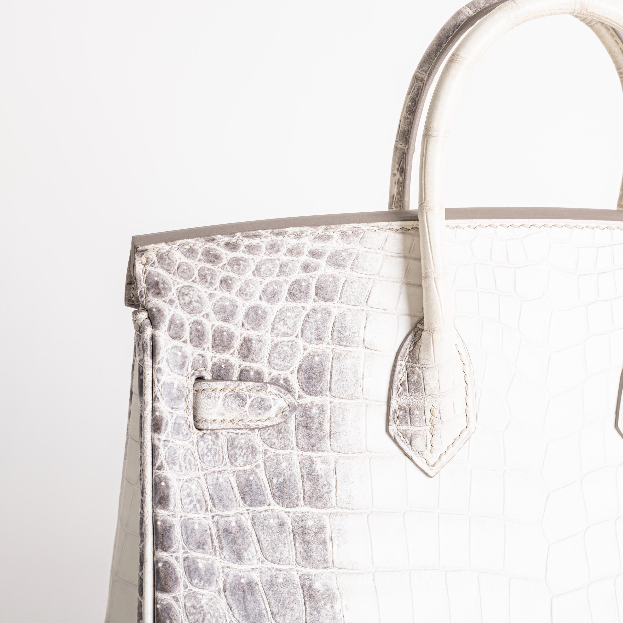 BIRKIN 25 NILOTICUS CROCODILE (MATTE) LEATHER HIMALAYA WITH PALLADIUM HARDWARE (PHW)