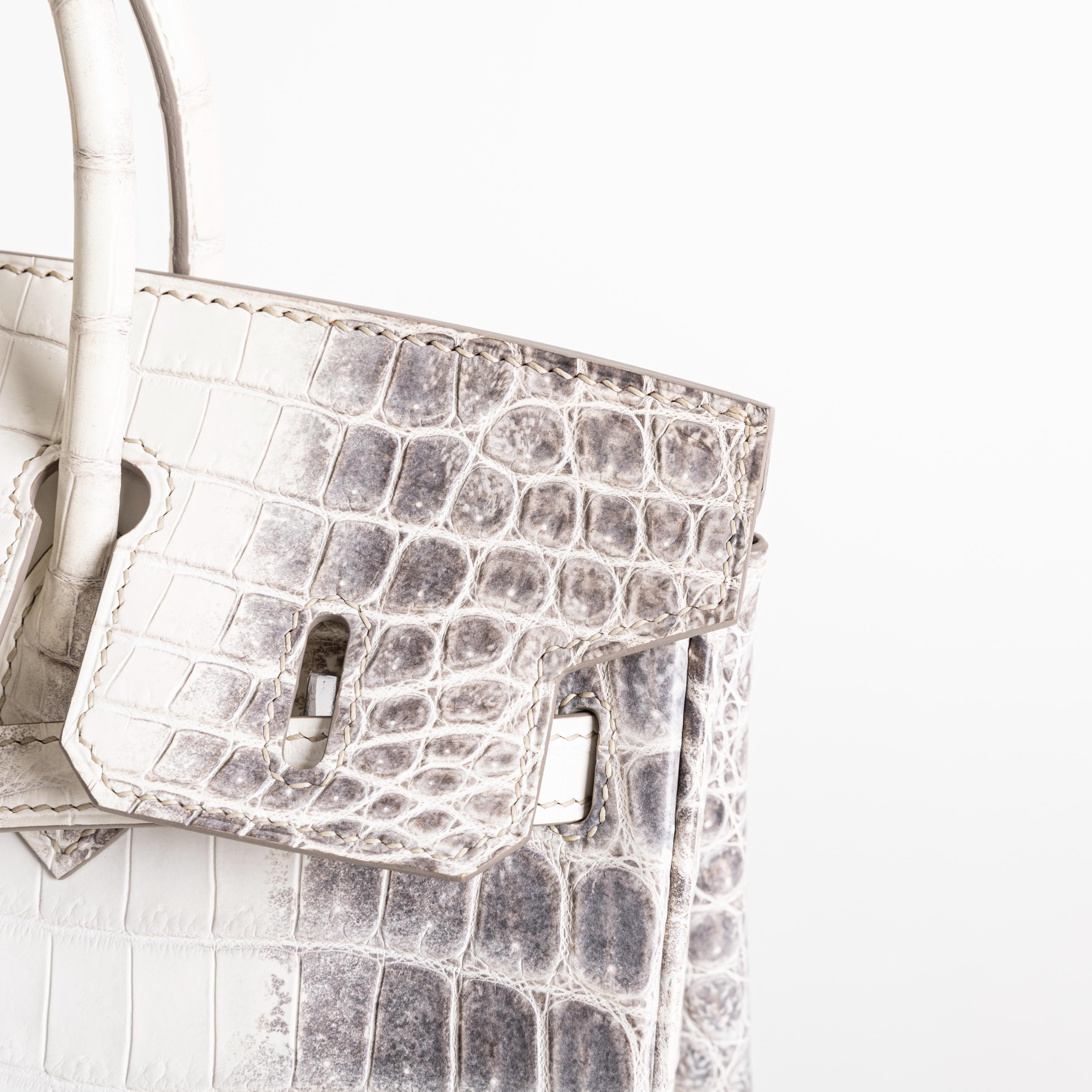 BIRKIN 25 NILOTICUS CROCODILE (MATTE) LEATHER HIMALAYA WITH PALLADIUM HARDWARE (PHW)