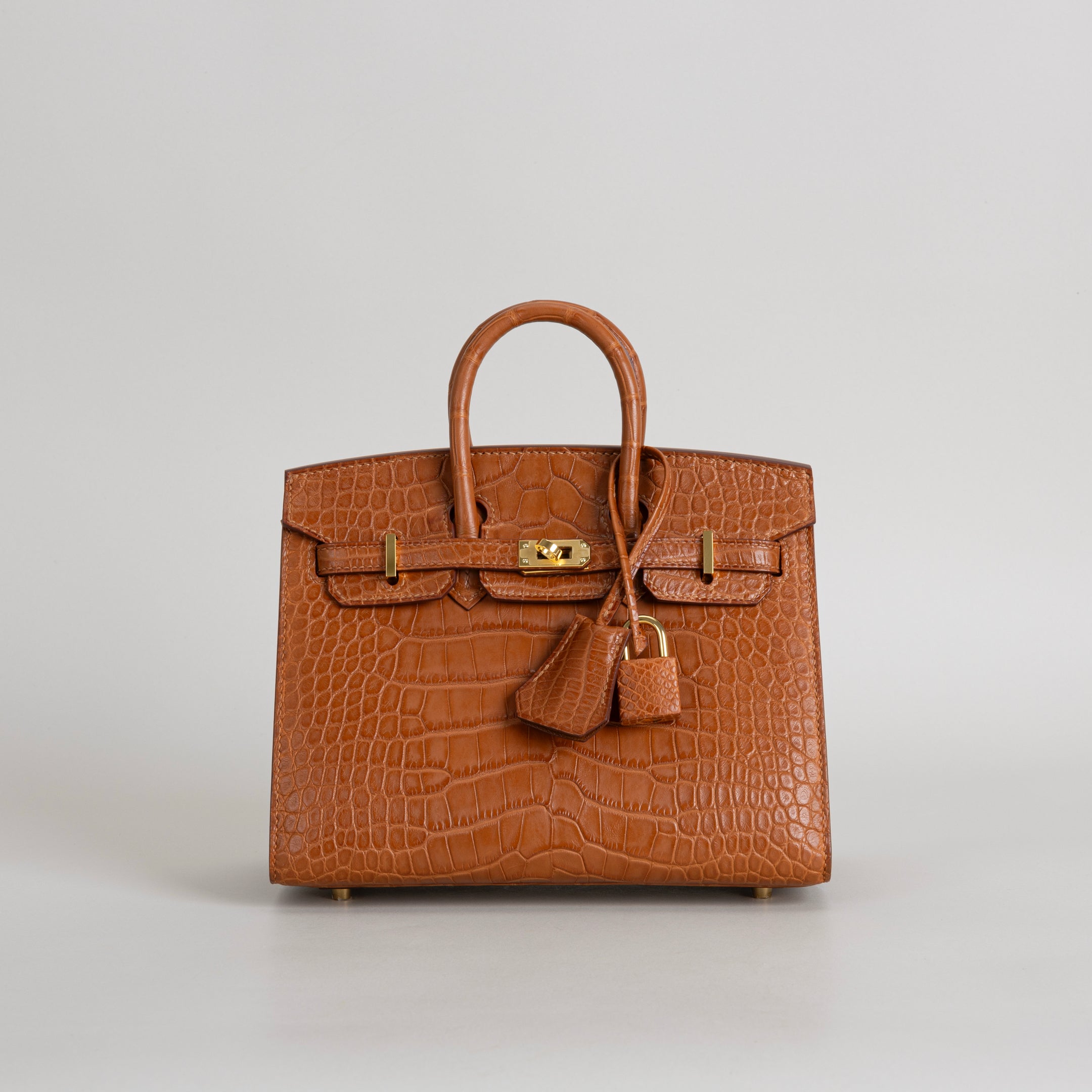 BIRKIN 20 (SELLIER SHAPE) MATTE MISSISSIPPIENSIS ALLIGATOR LEATHER GOLD WITH GOLD HARDWARE (GHW)