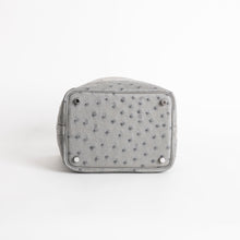 PICOTIN 18 LOCK OSTRICH LEATHER GRIS MEYER WITH PALLADIUM HARDWARE (PHW)