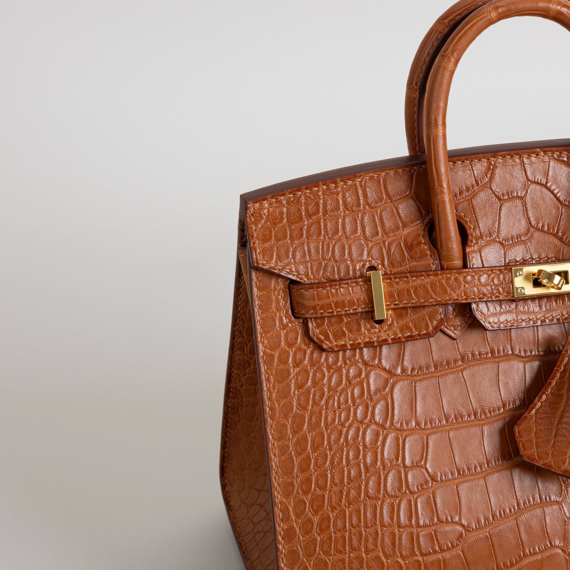 BIRKIN 20 (SELLIER SHAPE) MATTE MISSISSIPPIENSIS ALLIGATOR LEATHER GOLD WITH GOLD HARDWARE (GHW)