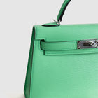 MINI KELLY II (20) CHEVRE LEATHER COMICS WITH PALLADIUM HARDWARE (PHW)