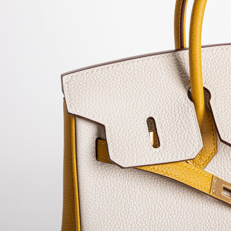 BIRKIN 25 TOGO LEATHER HORSESHOE STAMP (HSS) BI-COLOR CRAIE & JAUNE AMBRE WITH BRUSHED GOLD HARDWARE (BGHW)