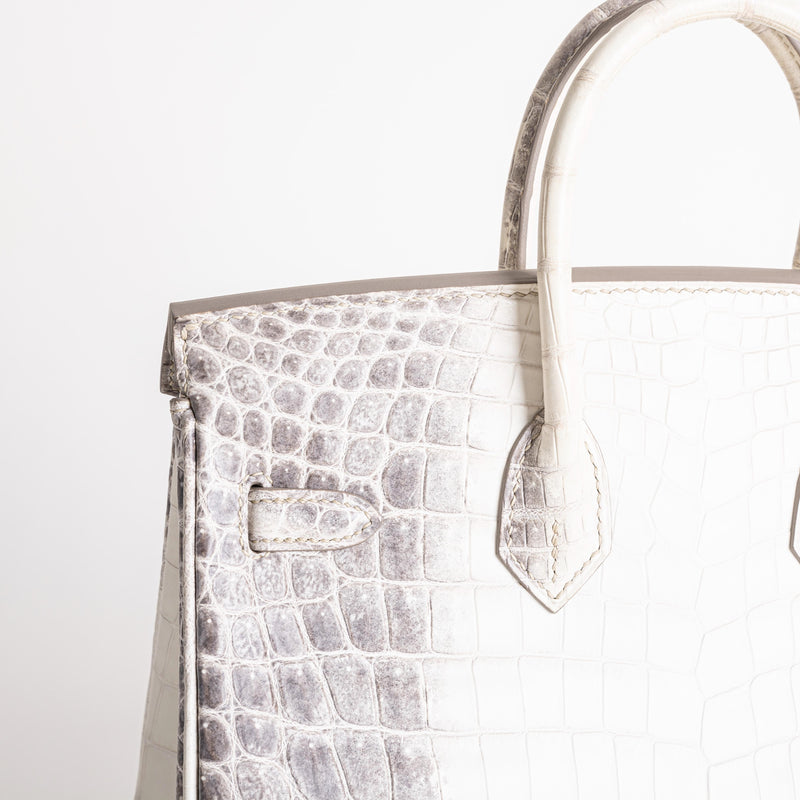 BIRKIN 25 NILOTICUS CROCODILE (MATTE) LEATHER HIMALAYA WITH PALLADIUM HARDWARE (PHW)