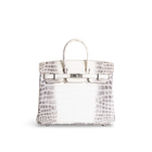 BIRKIN 25 NILOTICUS CROCODILE (MATTE) LEATHER HIMALAYA WITH PALLADIUM HARDWARE (PHW)