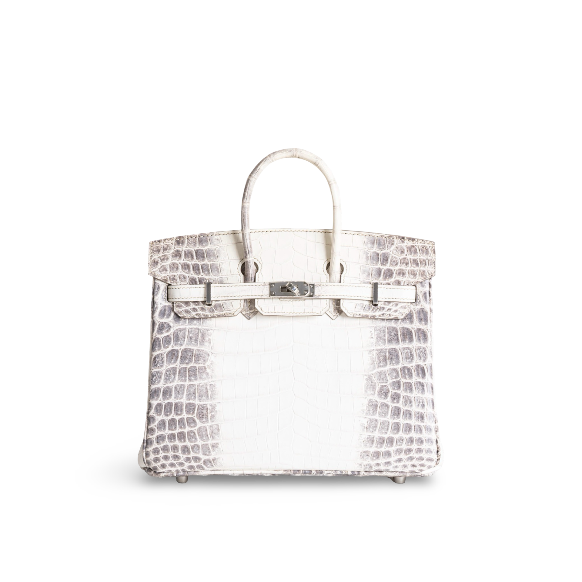 BIRKIN 25 NILOTICUS CROCODILE (MATTE) LEATHER HIMALAYA WITH PALLADIUM HARDWARE (PHW)