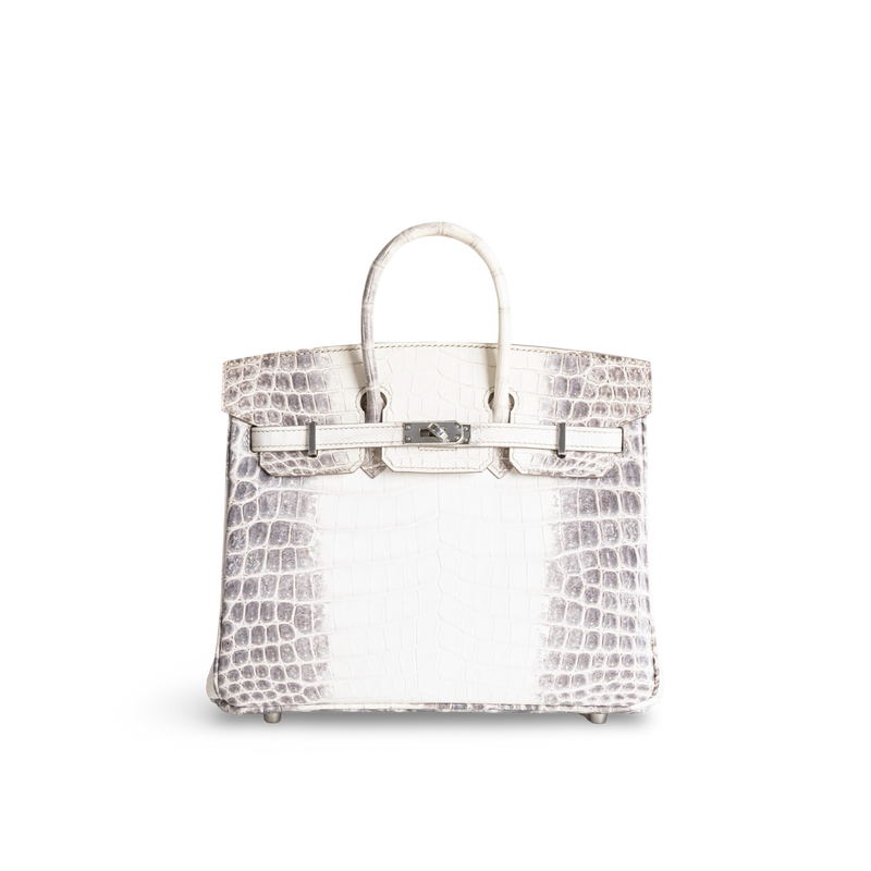 BIRKIN 25 NILOTICUS CROCODILE (MATTE) LEATHER HIMALAYA WITH PALLADIUM HARDWARE (PHW)