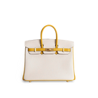 BIRKIN 25 TOGO LEATHER HORSESHOE STAMP (HSS) BI-COLOR CRAIE & JAUNE AMBRE WITH BRUSHED GOLD HARDWARE (BGHW)