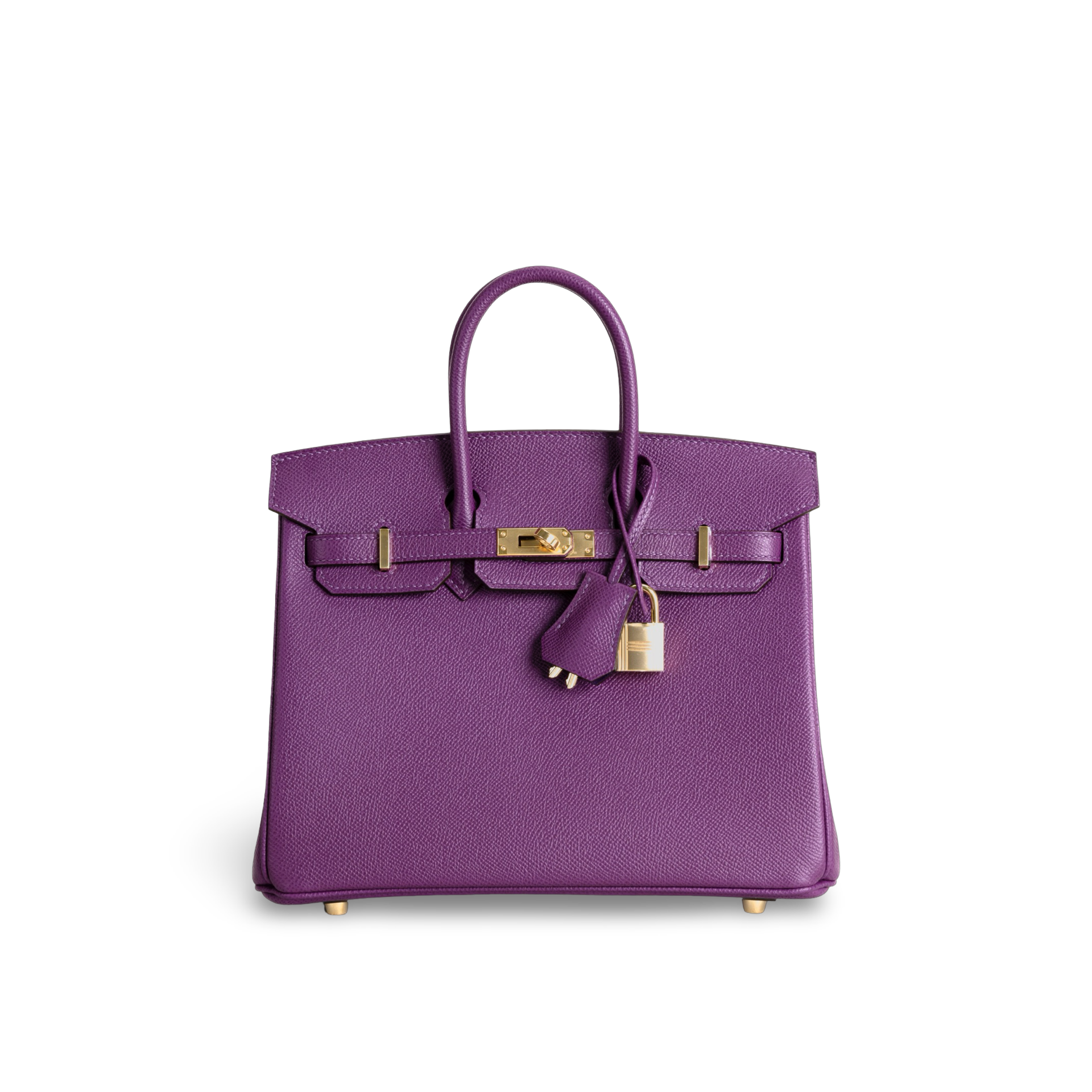 BIRKIN 25 EPSOM LEATHER ANEMONE WITH GOLD HARDWARE (GHW)